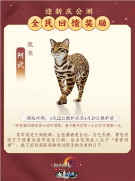 顶级天龙八部私服